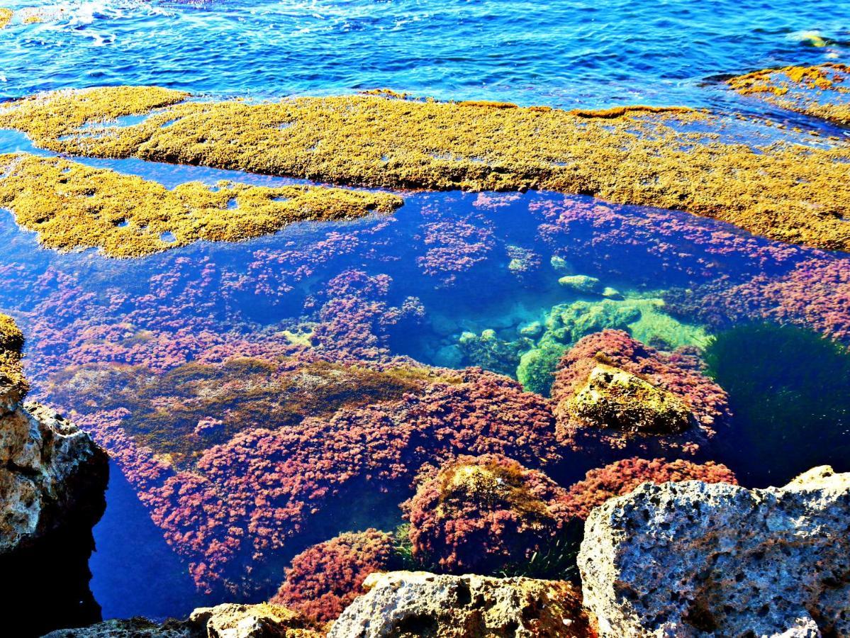 雷阿尔蒙特Anemone Della Scala Dei Turchi公寓 外观 照片